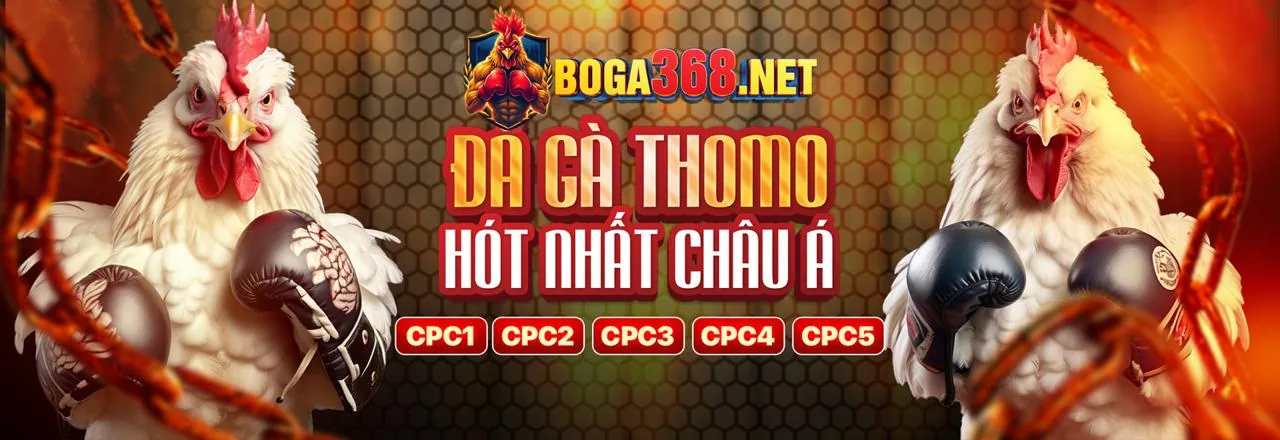 mmwin apk với sứ mệnh và tầm nhìn phát triển